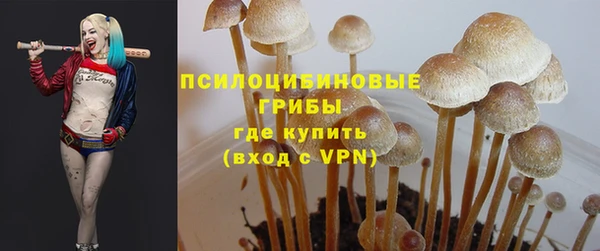 прущая мука Фурманов