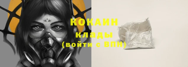 стаф Кинешма