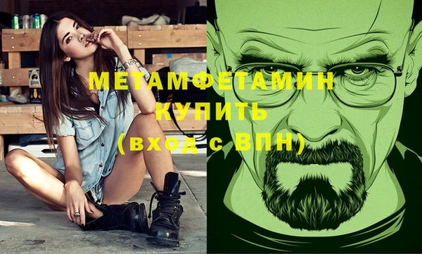 шишки Верея