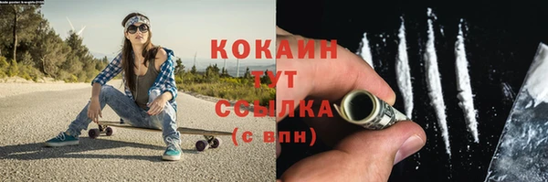 шишки Верея